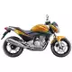 300 CB 2010 CB300RAA