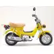 70 CHALY 1981 CF70B