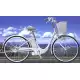 electric RACOON 2000 PAC16A2Y