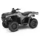 420 FOURTRAX 2022 TRX420FA6N