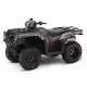 500 FOURTRAX 2019 TRX500FE2K