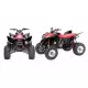 700 FOURTRAX 2011 TRX700XXB