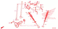 NOKKENAS/KLEP voor Honda FOURTRAX 500 RUBICON DCT 2018