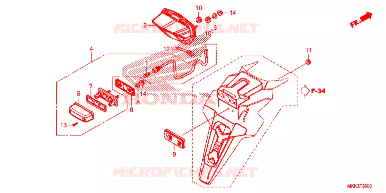 ACHTERLICHT/KENTEKEN LICHT Honda MOTO 1000 AFRICA-TWIN 2019  CRF1000AJ