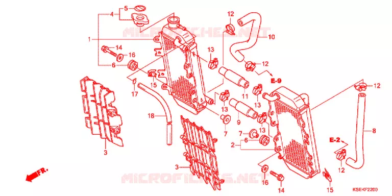 RADIATOR Honda MOTO 150 CRF 2021  CRF150RJ