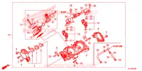GAS HUIS voor Honda PIONEER 1000 M3 EPS 2018