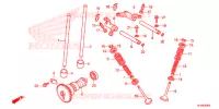 NOKKENAS/KLEP voor Honda PIONEER 500 M2 2018