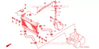 RADIATOR voor Honda NS1 50 1998