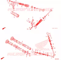 NOKKENAS/KLEP voor Honda CHALY 50 1992