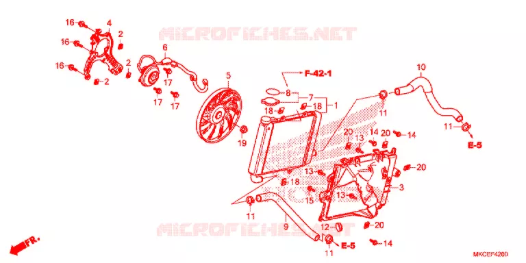 RADIATOR (D.) Honda MOTO 1800 GOLD-WING 2019  GL1800DAK