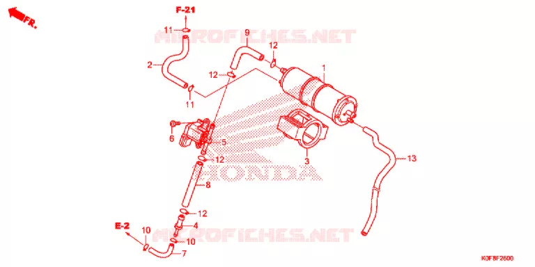 KOOLSTOFBUS Honda MOTO 125 MONKEY 2019  Z125MJ