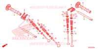 NOKKENAS/KLEP voor Honda CB 500 X ABS 2014