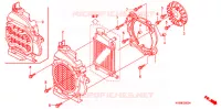 KOELVENTILATOR/RADIATEUR DEKSEL voor Honda CLICK 110 I SPECIAL 2010