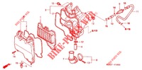 LUCHTFILTER (1) voor Honda WAVE 125 Carburetor, Electric start 2006