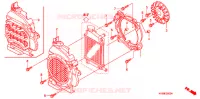 KOELVENTILATOR/RADIATEUR DEKSEL voor Honda CLICK 110 I 2011