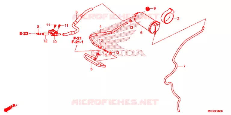 KOOLSTOFBUS Honda MOTO 1100 AFRICA-TWIN 2020  CRF1100AL