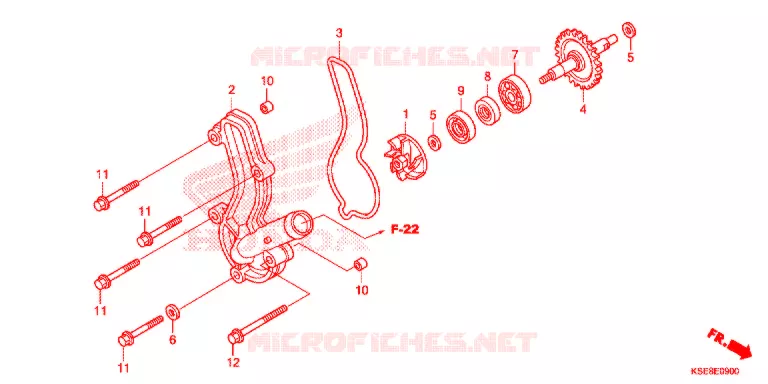 WATERPOMP Honda MOTO 150 CRF 2020  CRF150RL