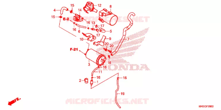 KOOLSTOFBUS Honda MOTO 450 CRF 2020  CRF450LL