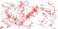 RADIATOR voor Honda RS 150 R V4 2021