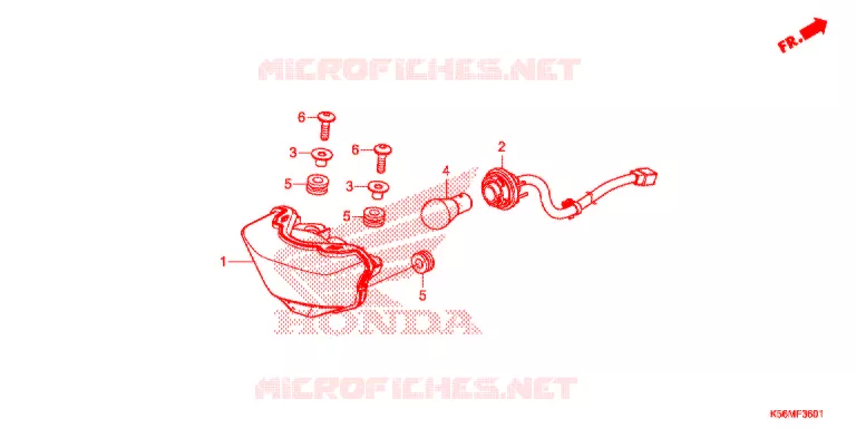 ACHTERLICHT (FS150FL) Honda MOTO 150 RS 2020  FS150FL