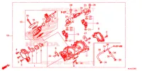 GAS HUIS voor Honda PIONEER 1000 M3 DELUXE 2020