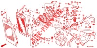 RADIATOR voor Honda SHADOW VT 750 PHANTOM 2019