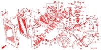 RADIATOR voor Honda SHADOW VT 750 PHANTOM 2021