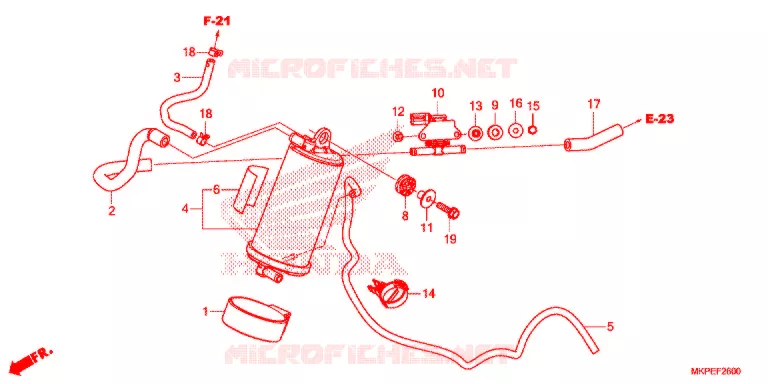 KOOLSTOFBUS Honda MOTO 500 CB 2020  CB500FAL
