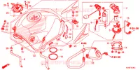 BRANDSTOF TANK voor Honda CB 250 TWISTER 2017