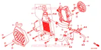 RADIATOR voor Honda BENLY 50 PRO 2021