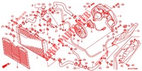 RADIATEUR   voor Honda CB 600 F HORNET 34HP 2011
