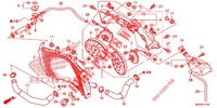 RADIATEUR  voor Honda CROSSTOURER 1200 DCT 2012