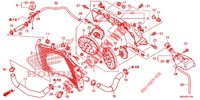 RADIATEUR  voor Honda CROSSTOURER 1200 DCT 2012