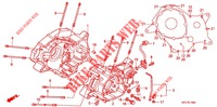 KRUKASCARTER   voor Honda 125 VARADERO 2011