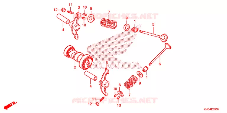 NOKKENAS/KLEP   Honda MOTO 50 CRF 2021  CRF50FM