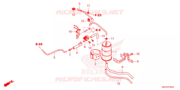 KOOLSTOFBUS   Honda MOTO 1800 GOLD-WING 2021  GL1800DAM
