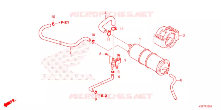 KOOLSTOFBUS   Honda MOTO 125 MSX 2021  MSX125AM