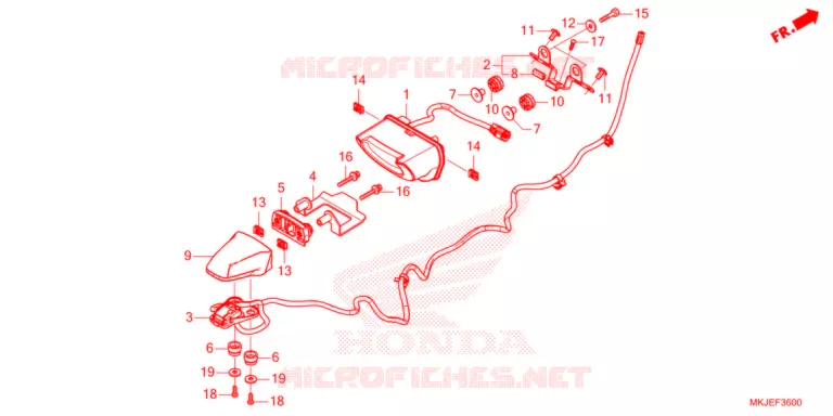 ACHTERLICHT/KENTEKEN LICHT   Honda MOTO 1000 CB 2022  CB1000RAM_BE