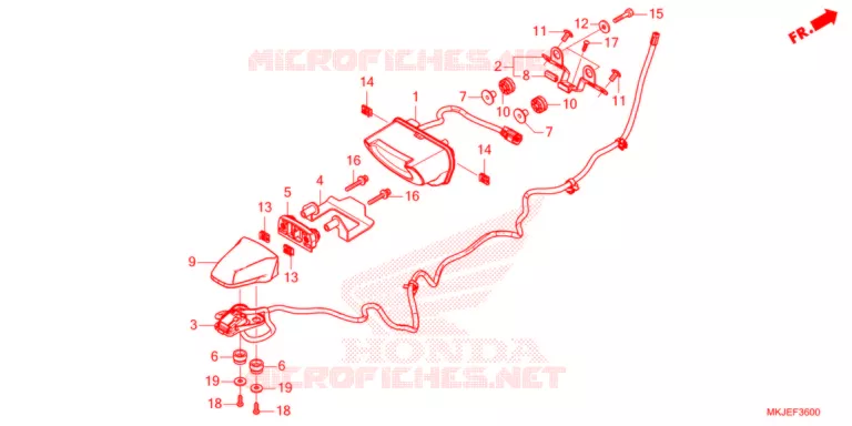 ACHTERLICHT/KENTEKEN LICHT   Honda MOTO 1000 CB 2021  CB1000RAM_BE