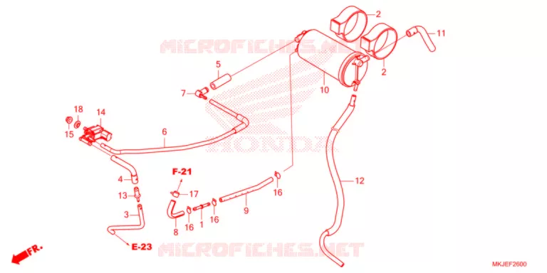 KOOLSTOFBUS   Honda MOTO 1000 CB 2021  CB1000RAM