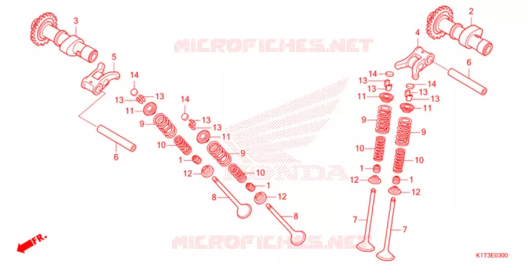 NOKKENAS/KLEP   Honda MOTO 300 CRF 2021  CRF300LRAM