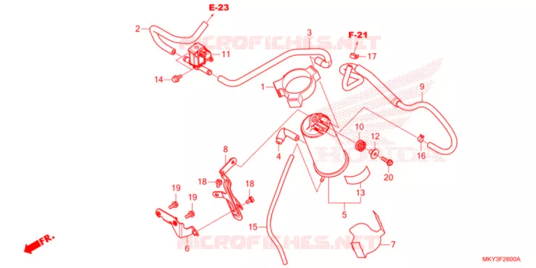 KOOLSTOFBUS   Honda MOTO 650 CB 2021  CB650RAM