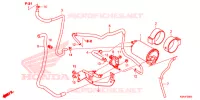 KOOLSTOFBUS   voor Honda CB 300 R 2021
