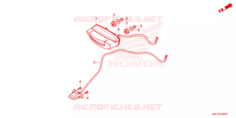 ACHTERLICHT/KENTEKEN LICHT   Honda MOTO 650 CBR 2021  CBR650RAM