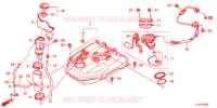 BRANDSTOF TANK  voor Honda LEAD 125 2021