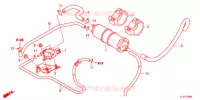 KOOLSTOFBUS   voor Honda LEAD 125 2021