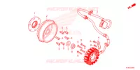 ALTERNATORE voor Honda FORZA 250 ABS 2022