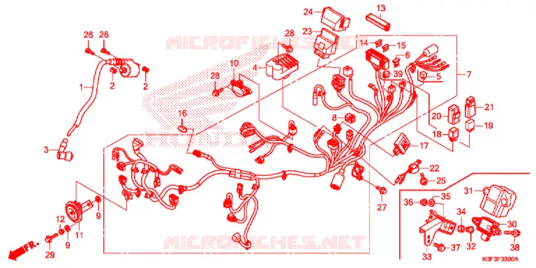 BEDRADINGSBUNDEL Honda MOTO 125 MONKEY 2021  Z125MAL