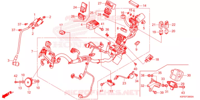 BEDRADINGSBUNDEL Honda MOTO 125 MONKEY 2022  Z125MAN