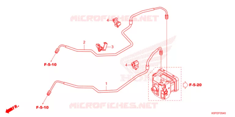 REMPIJP Honda MOTO 125 MONKEY 2022  Z125MAN